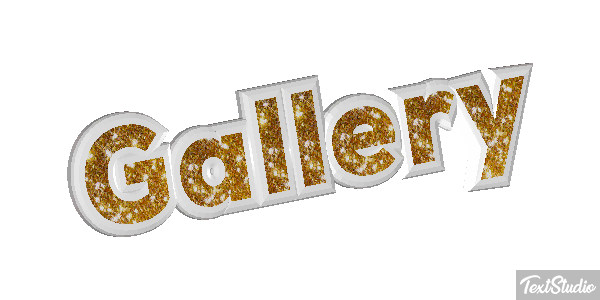 Animated Gallery